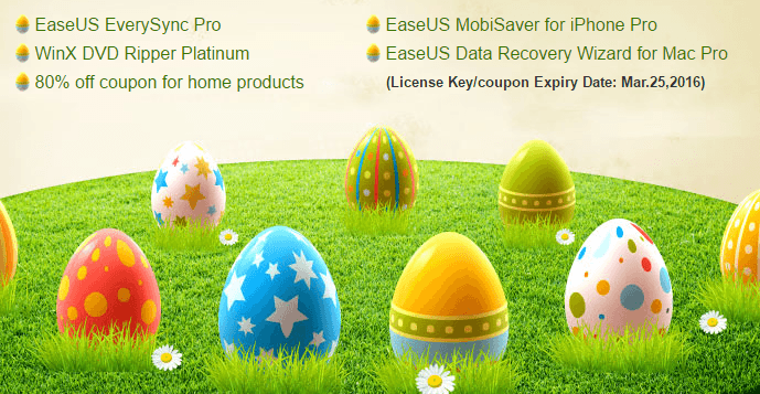 hunt-for-your-easter-egg-gifts-at-todo-backup