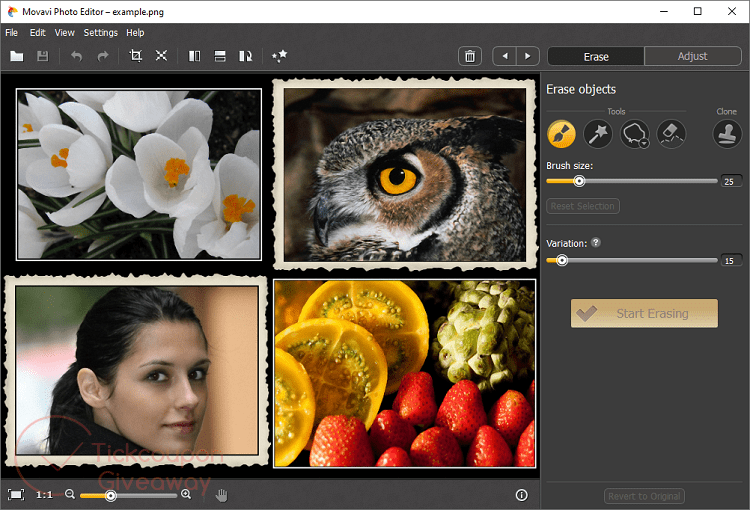 Movavi Photo Editor Screenshot