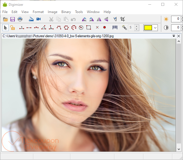 Digimizer Screenshot