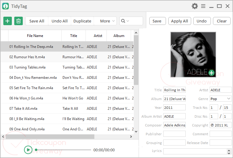 Tidytag Music Tag Editor Screenshot