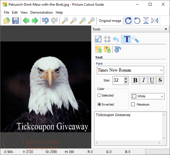 picture cutout guide giveaway