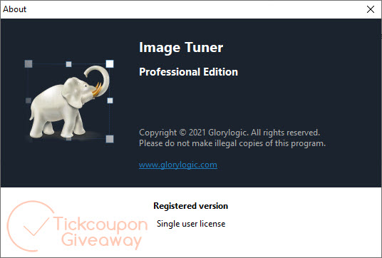 about image tuner professional