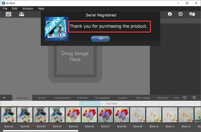 JixiPix Artoon Registered