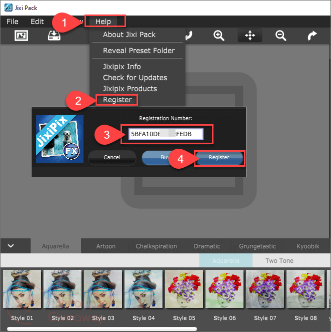 JixiPix Artoon Registration